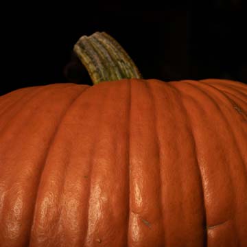 A close up of a pumpkin in dark, spooky lighting
