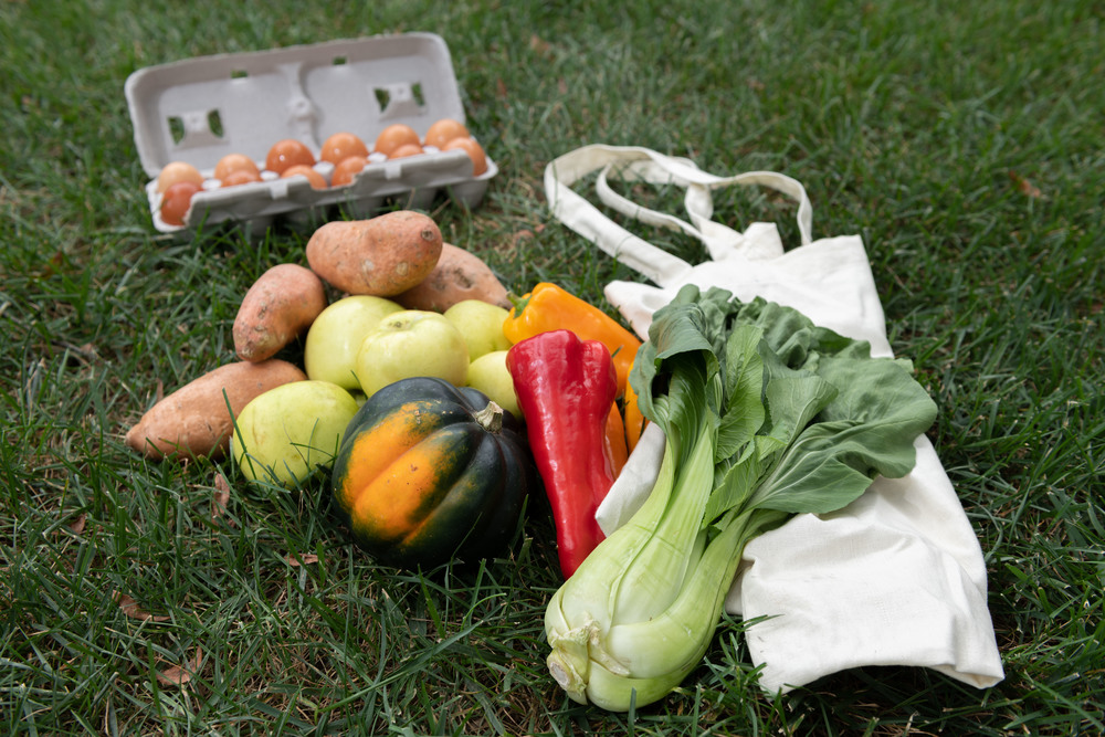 A new program brings fresh produce to campus for students, faculty, and staff.