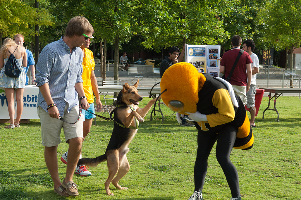 Buzz plays with a dog during a student organization fair on Tech Green