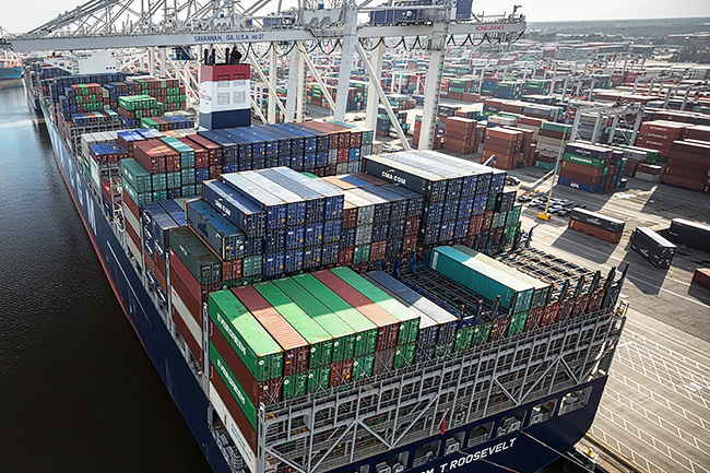 Port congestion is just on of the issues currently disrupting supply chains.