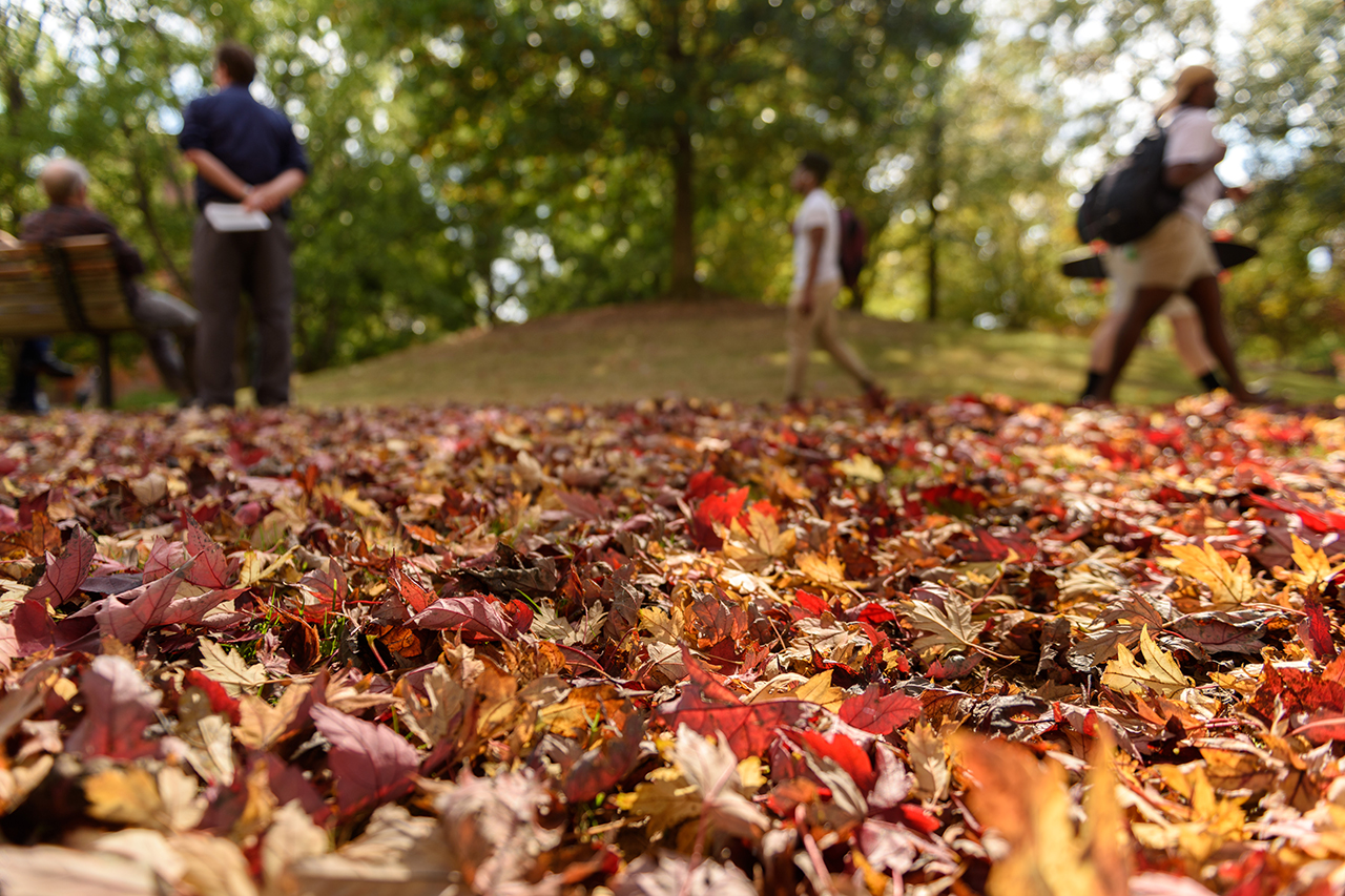 students walk among leaves