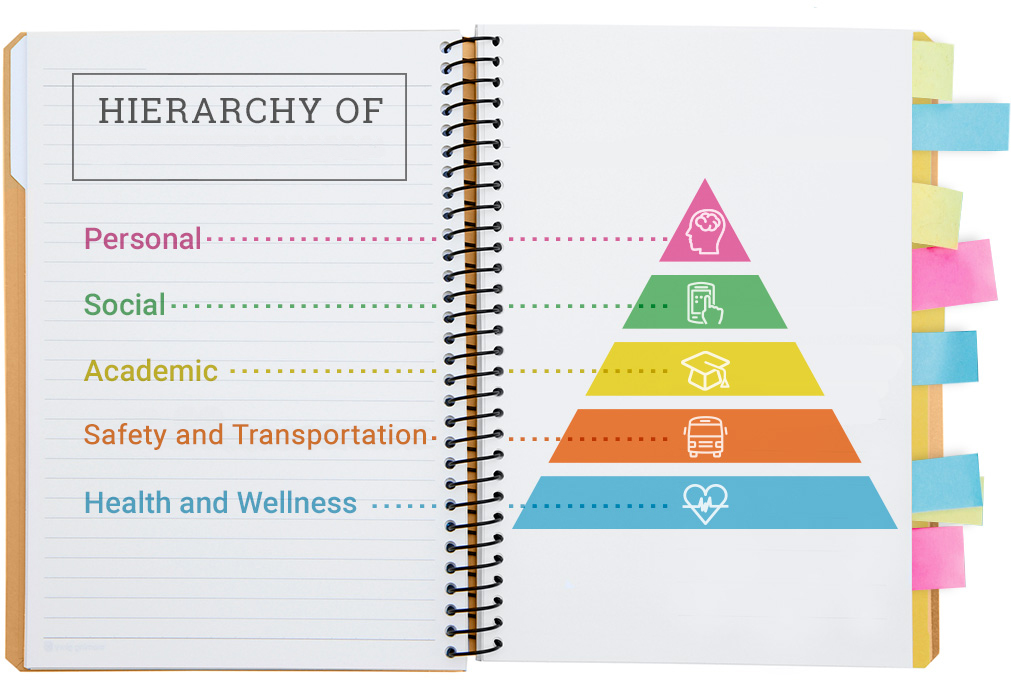 graphic - list of first-year needs