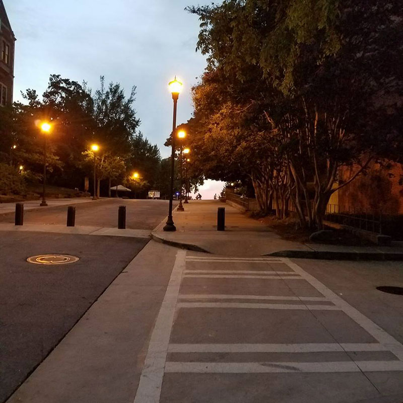 photo - sunrise on campus street