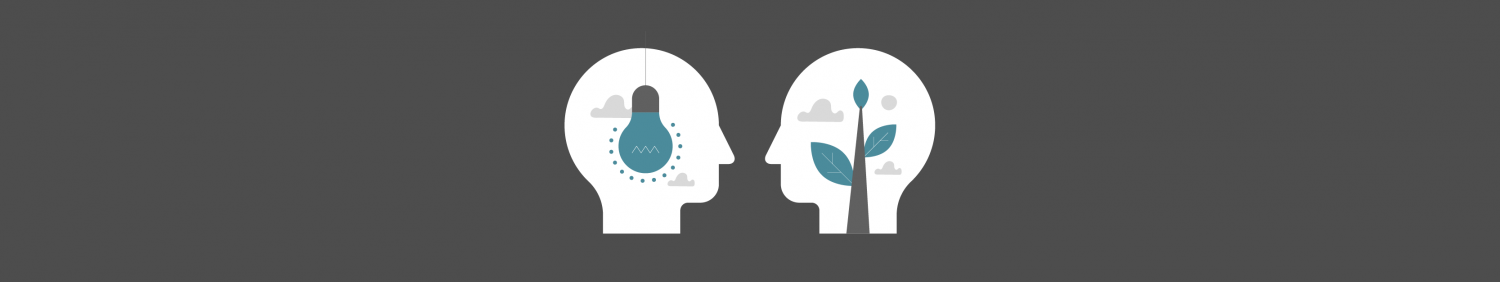 brains illustration
