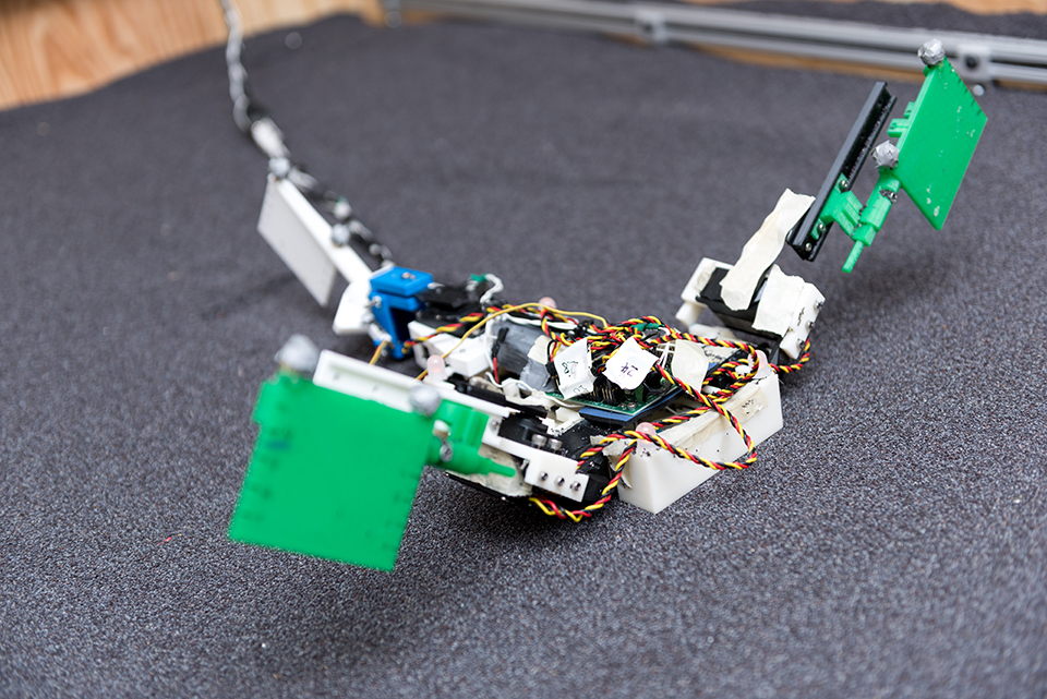A closeup of a robot made to mimic the movements of a mudskipper