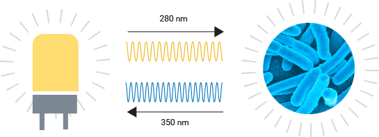 Graphic showing an LED producing 280 nanometer wavelength light and E. coli fluorescing at 350 nanometers.