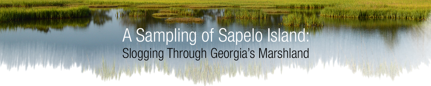 A Sampling of Sapelo Island: Slogging Through Georgia’s Marshland