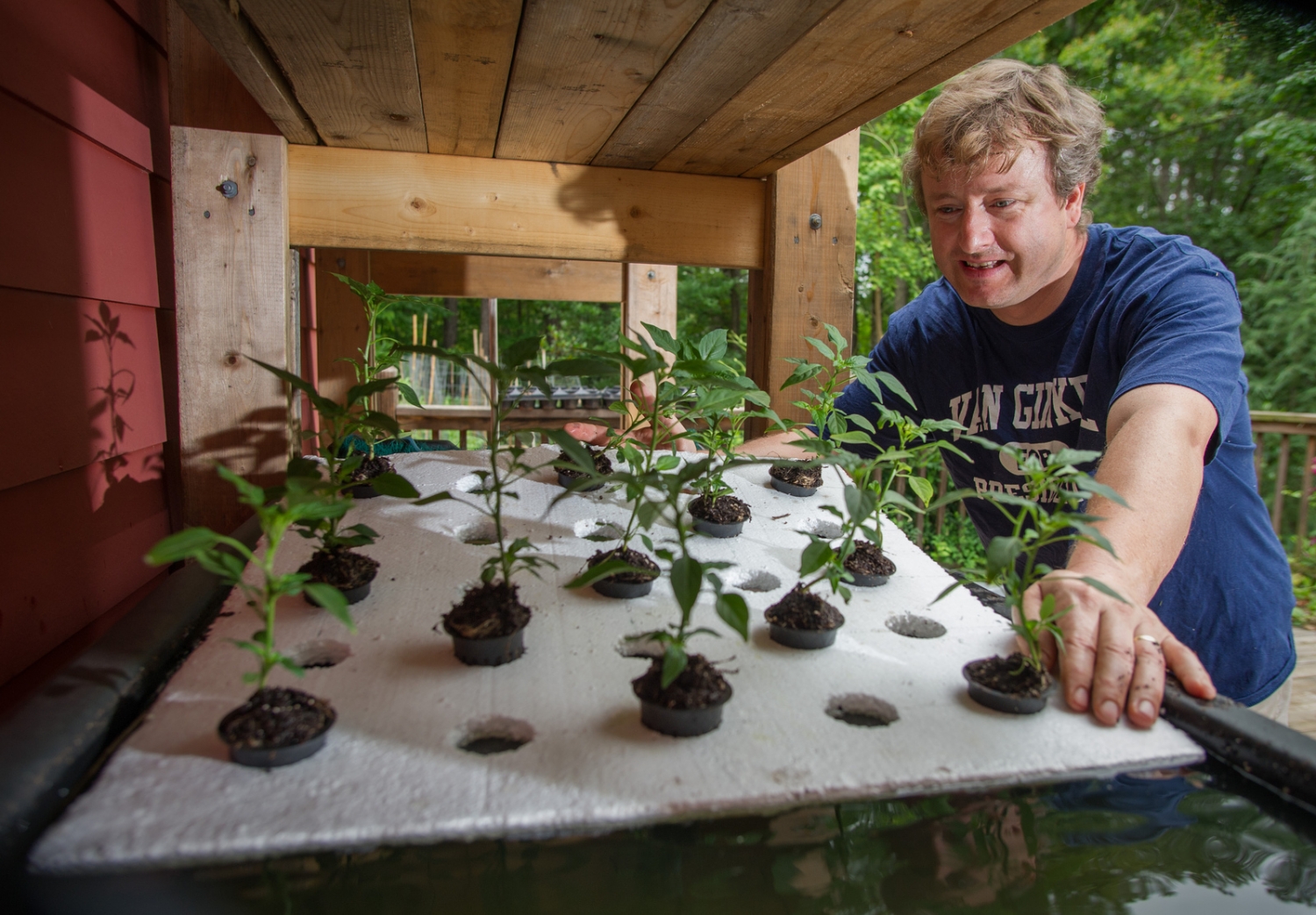 Steven Van Ginkel tends to an aquaponics system he constructed. He envisions having one on campus.