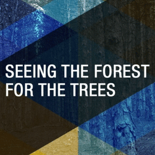 A forest of trees with a graphic overlay and the words, "Seeing the Forest for the Trees"