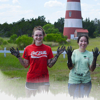 Two georgia tech students up to their elbows in mud on Sapelo Island.
