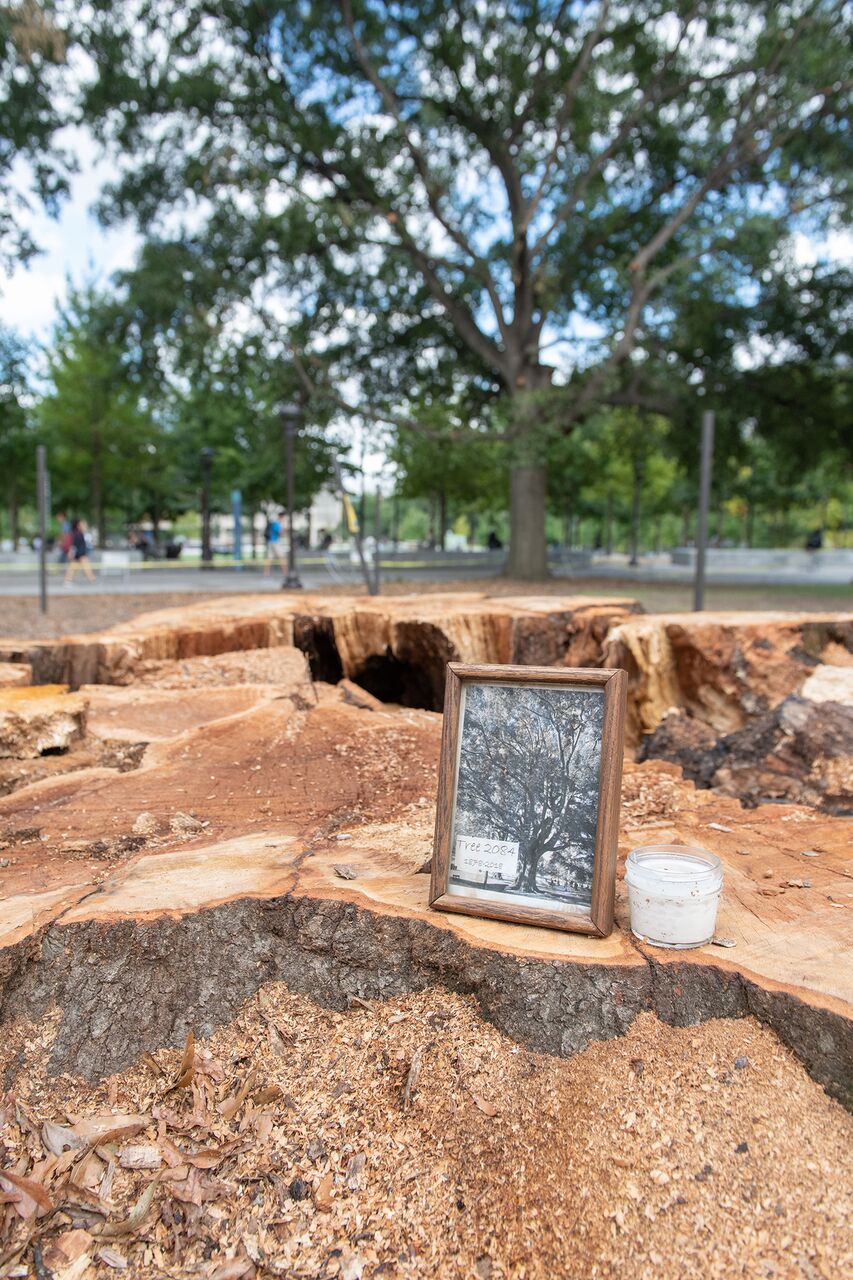 tree memorial
