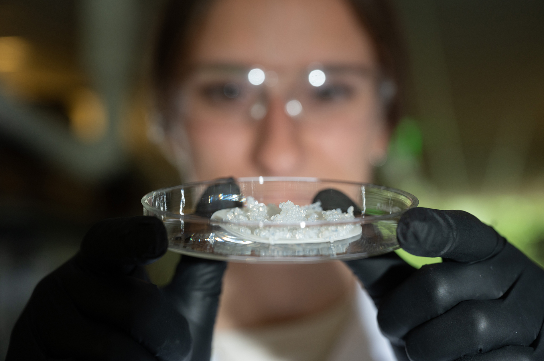 Madeline Morrell in research lab