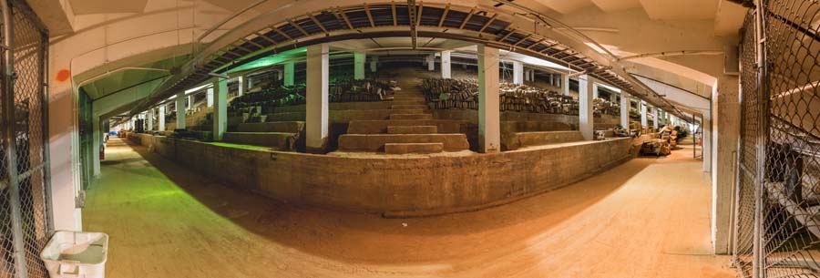 west stands panoramic