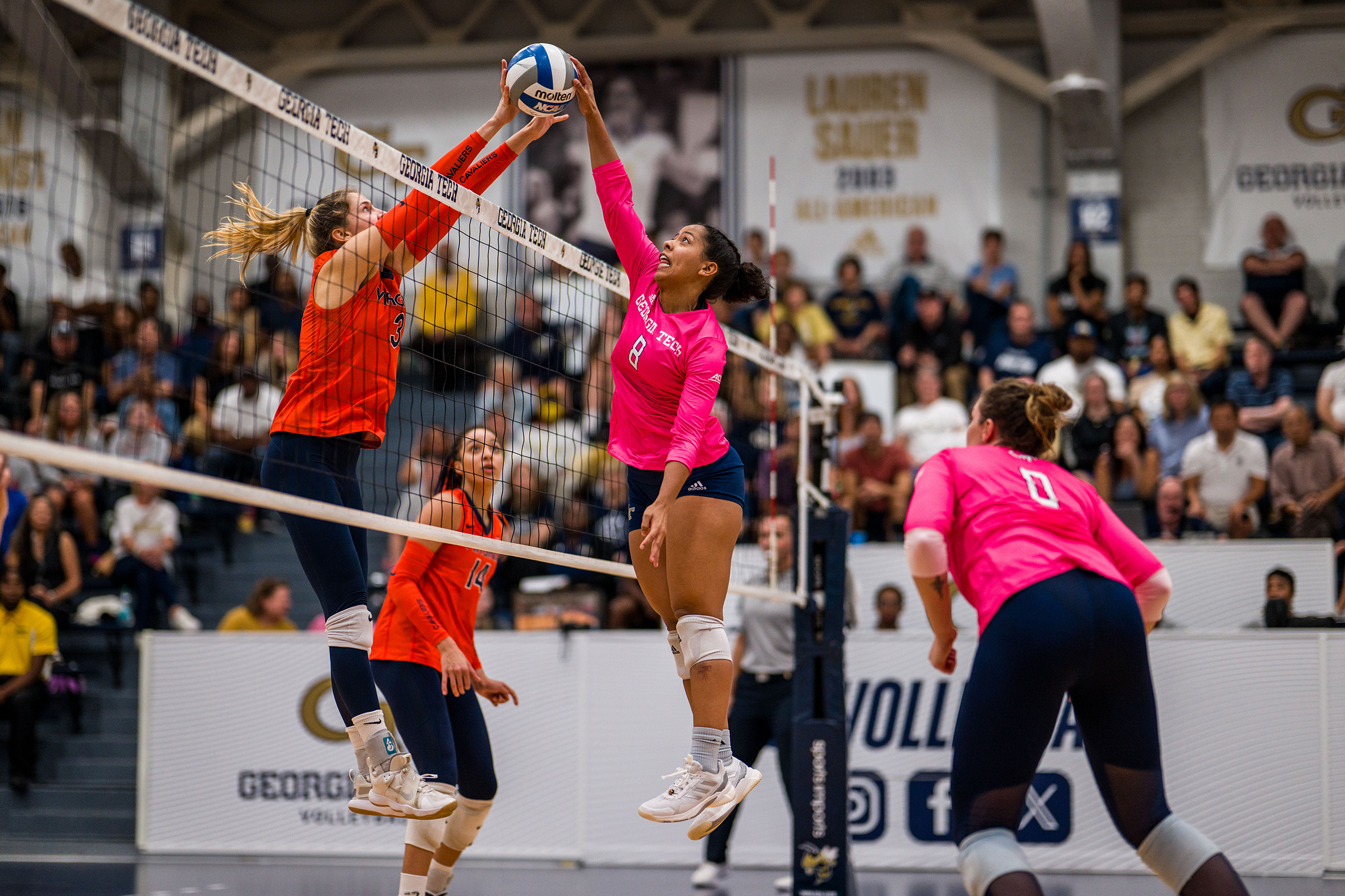 volleyball vs virginia