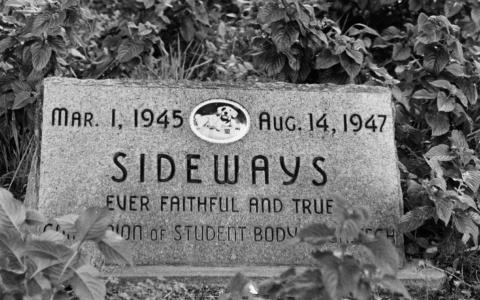 sideways grave