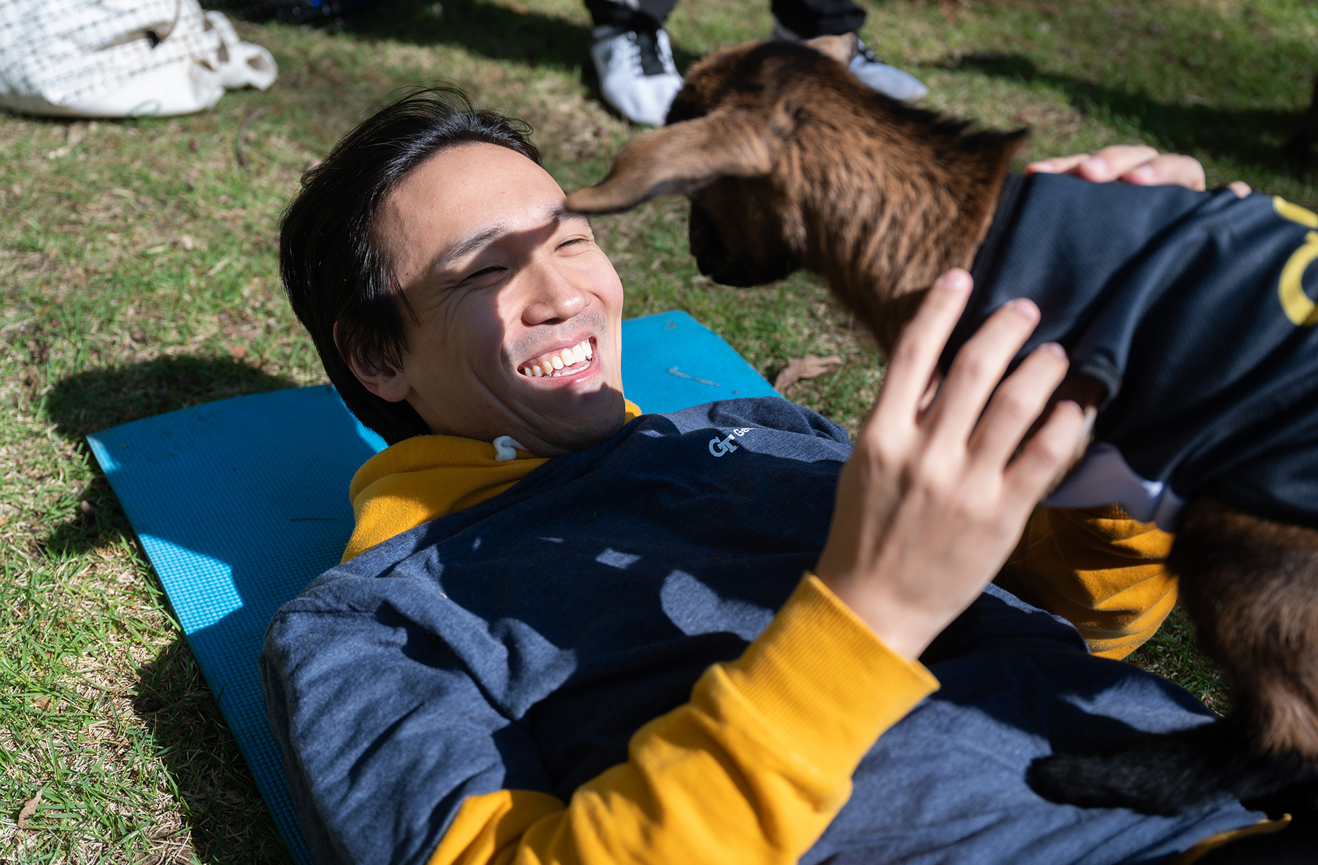 goat yoga