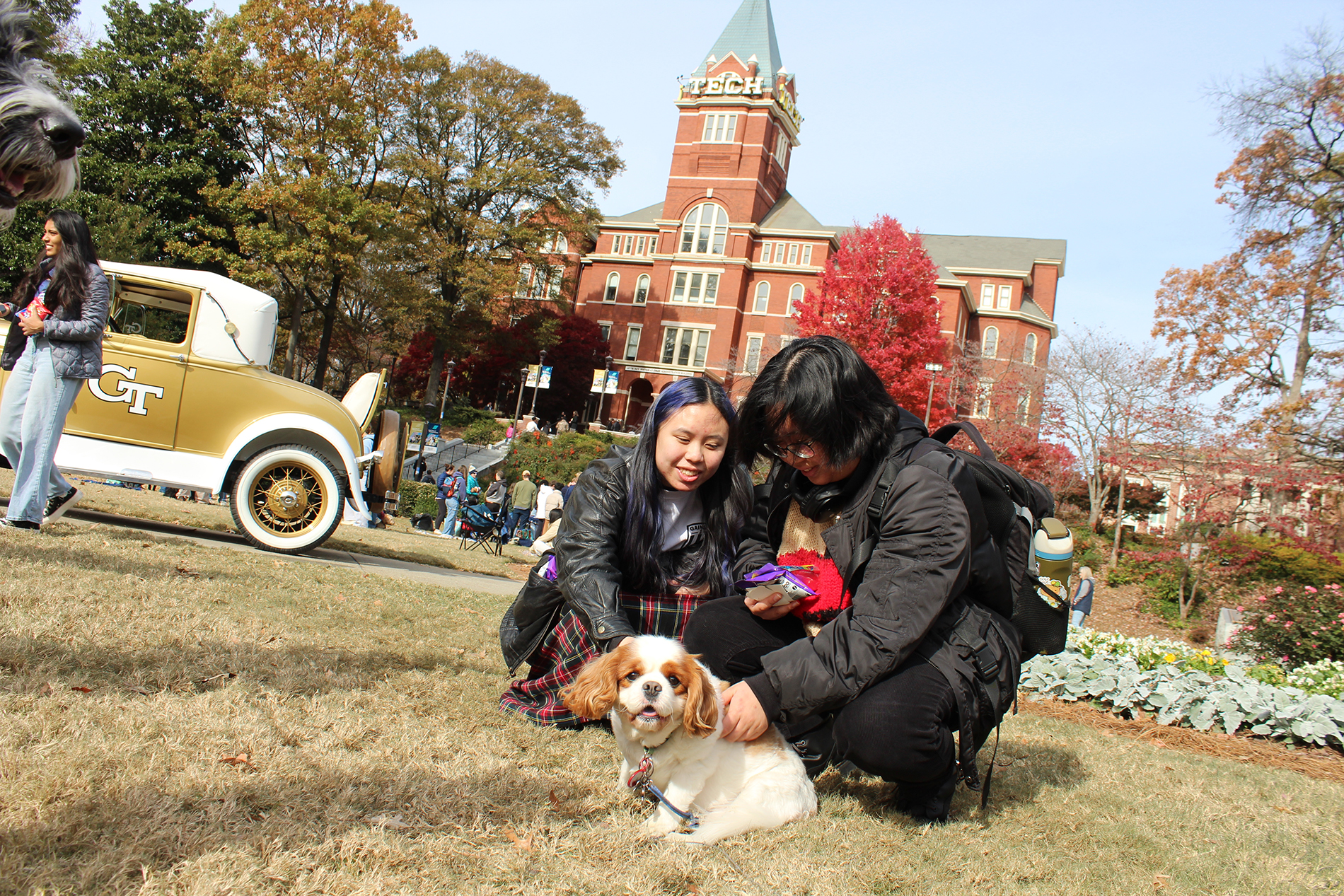 students and dogs