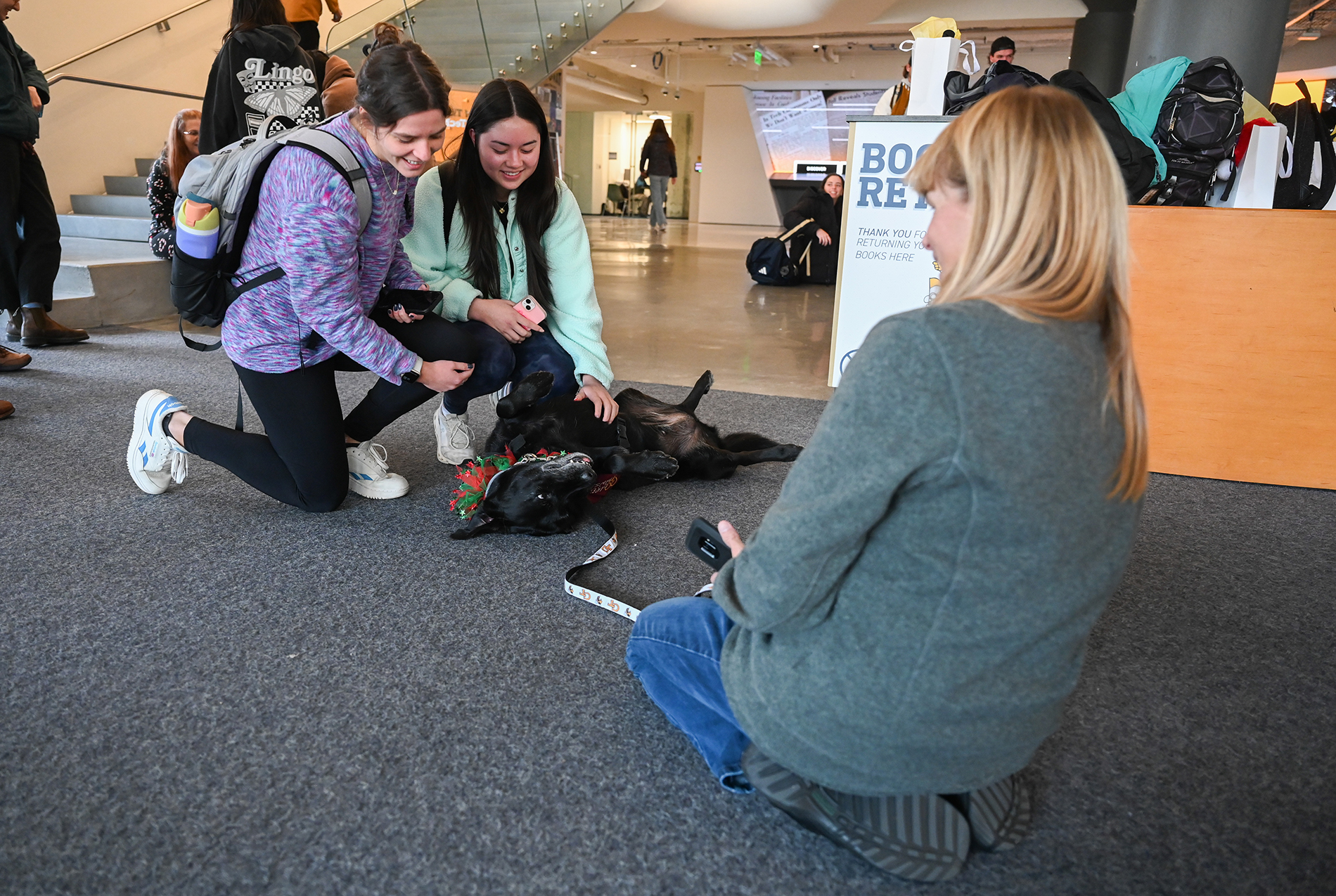 therapy dogs at library