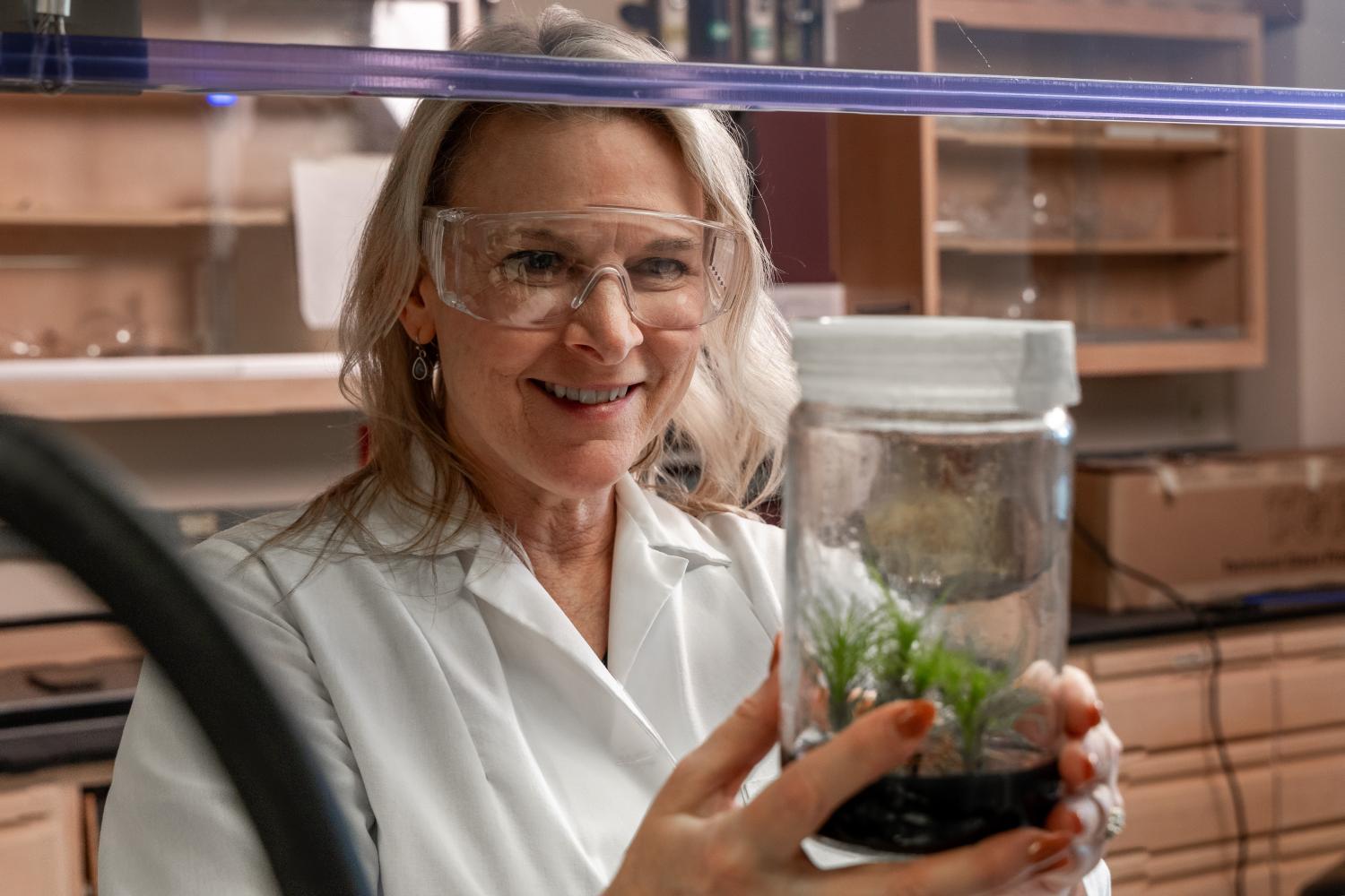 Ulrika Egertsdotter, a principal research scientist in the Renewable Bioproducts Institute, studies plant growth and development in vitro, with forestry, agricultural, and horticultural applications.