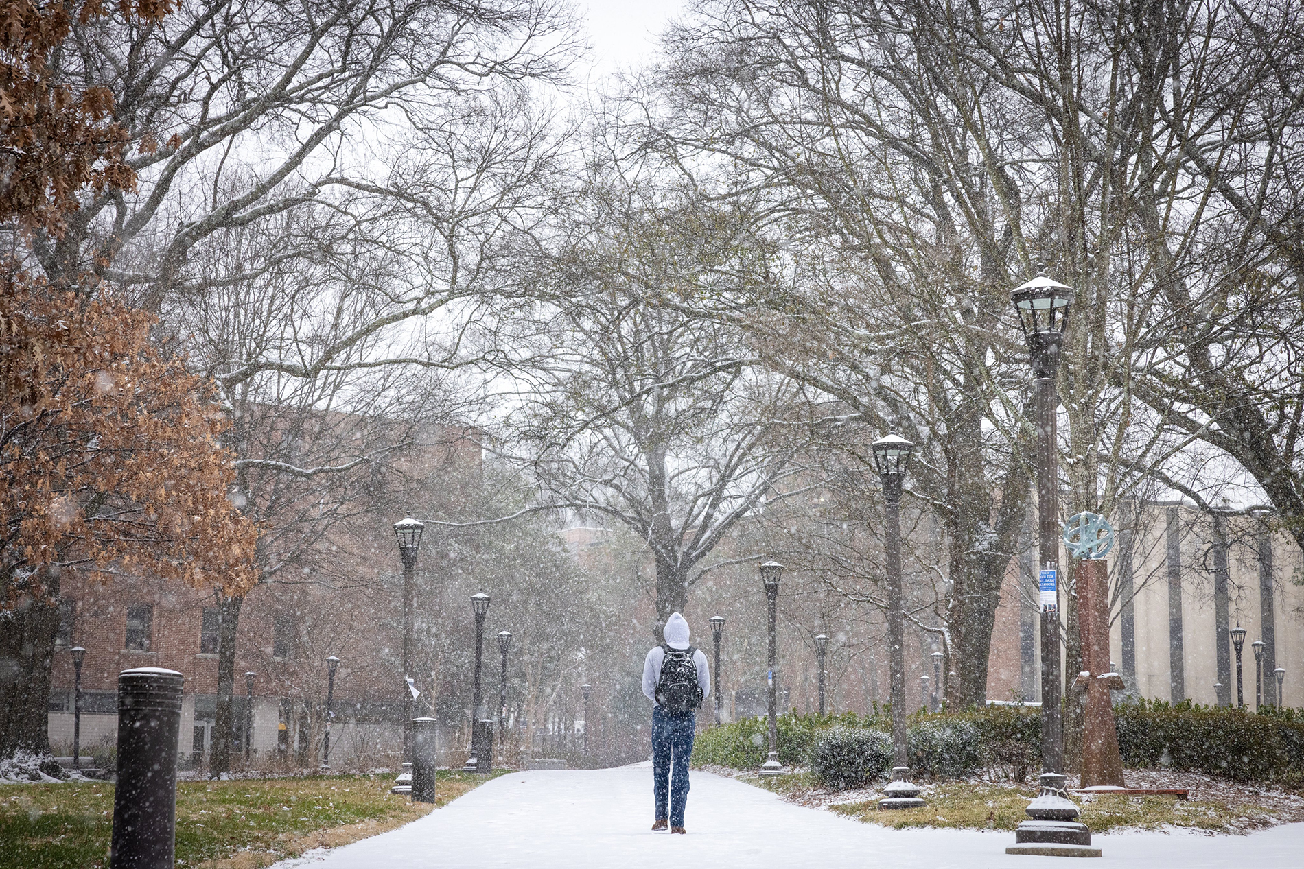 snow on campus