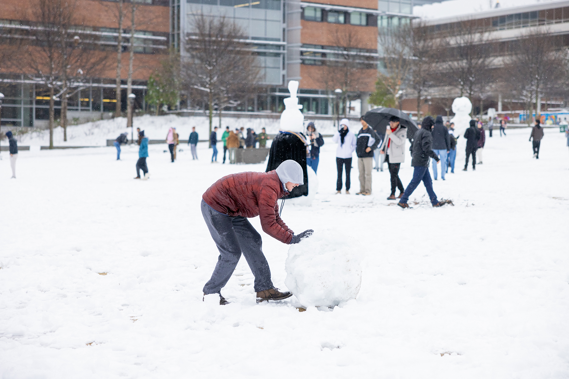 snow on tech green