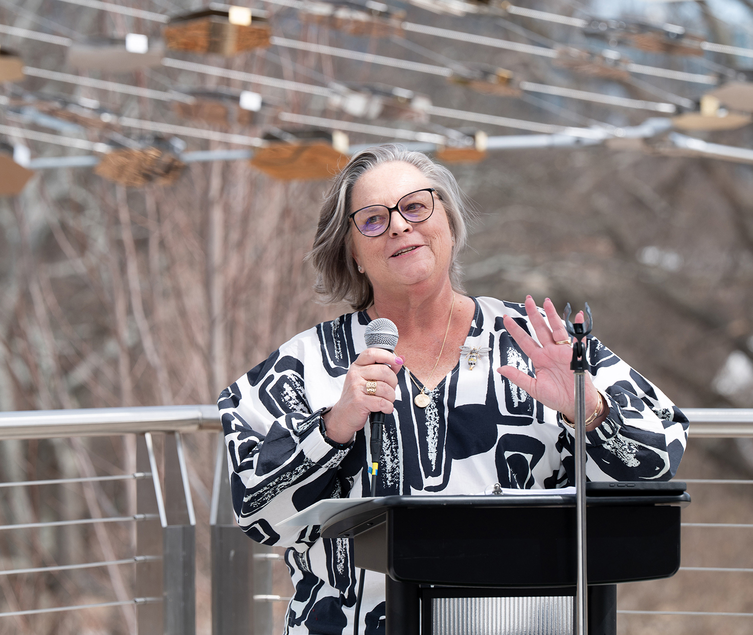 pathway of progress opening celebration