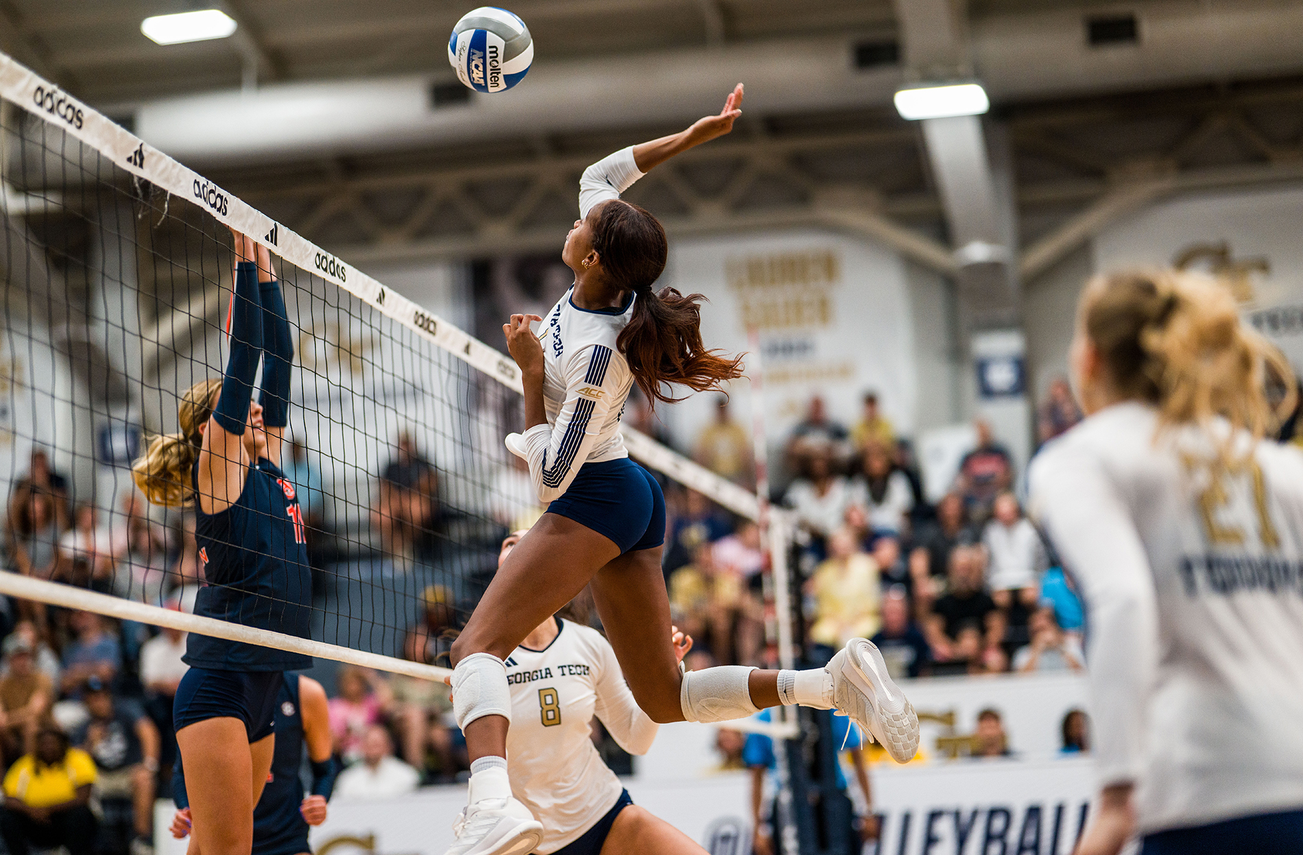 volleyball vs auburn