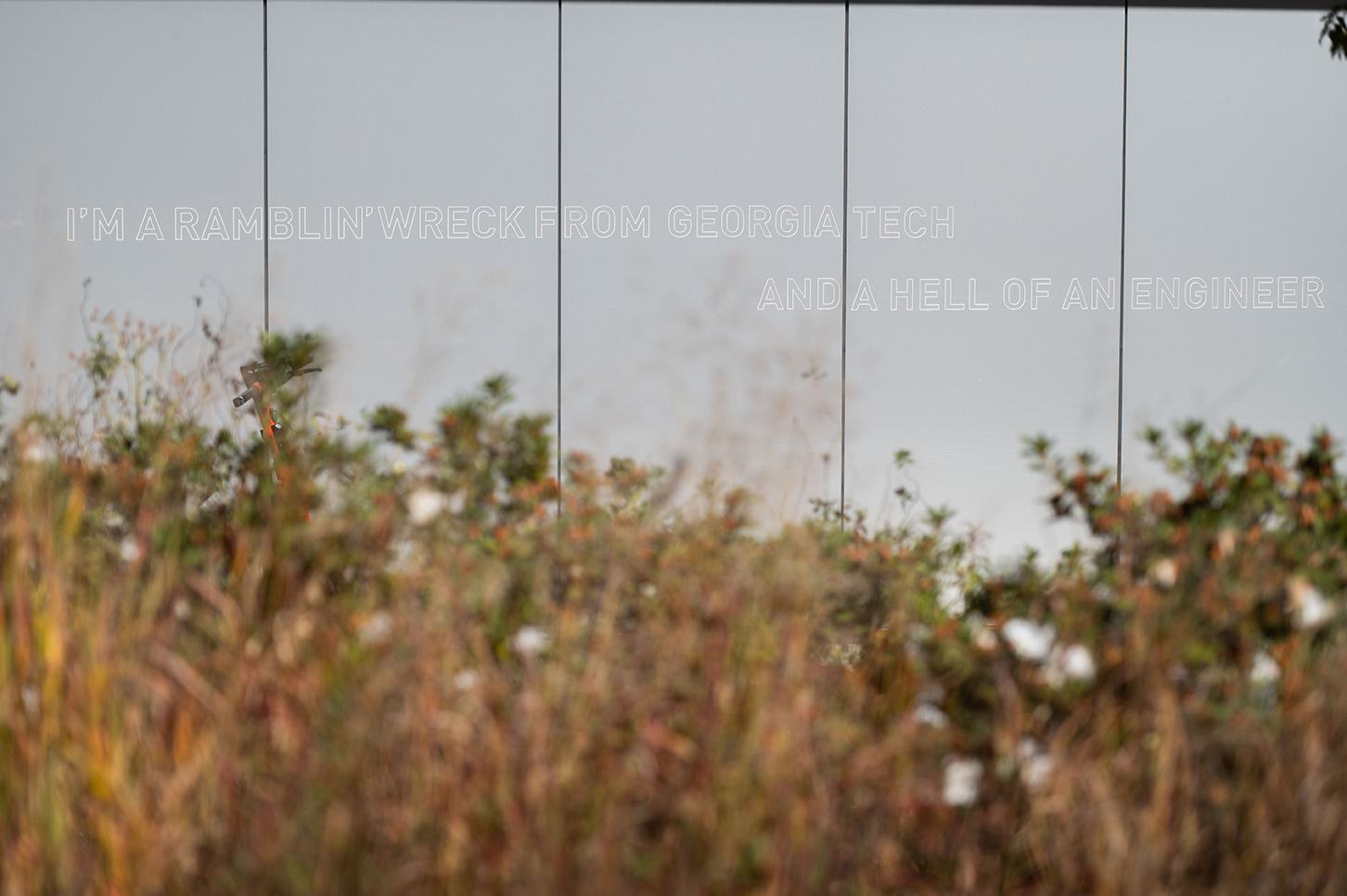 leaves and ramblin wreck