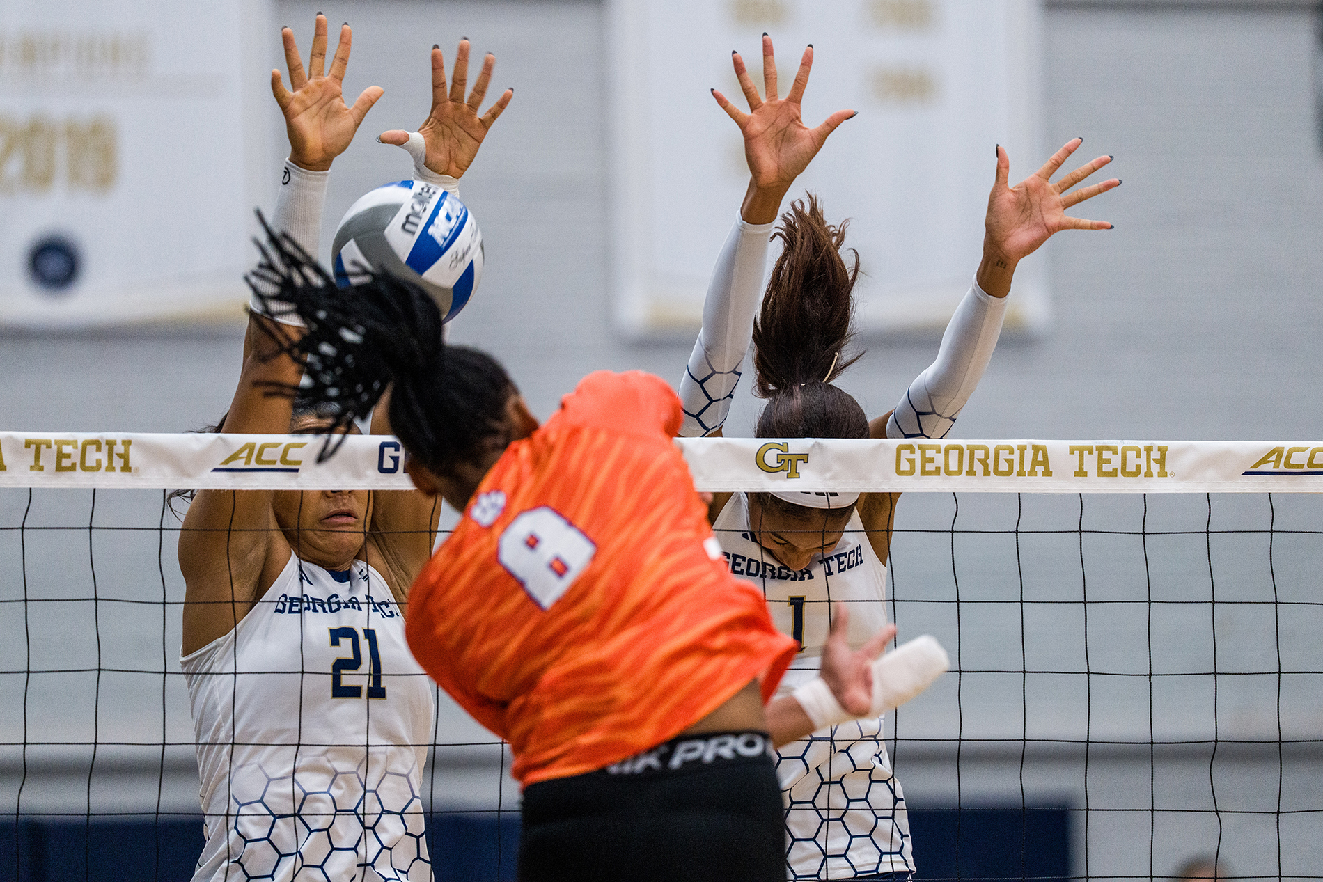 volleyball vs clemson