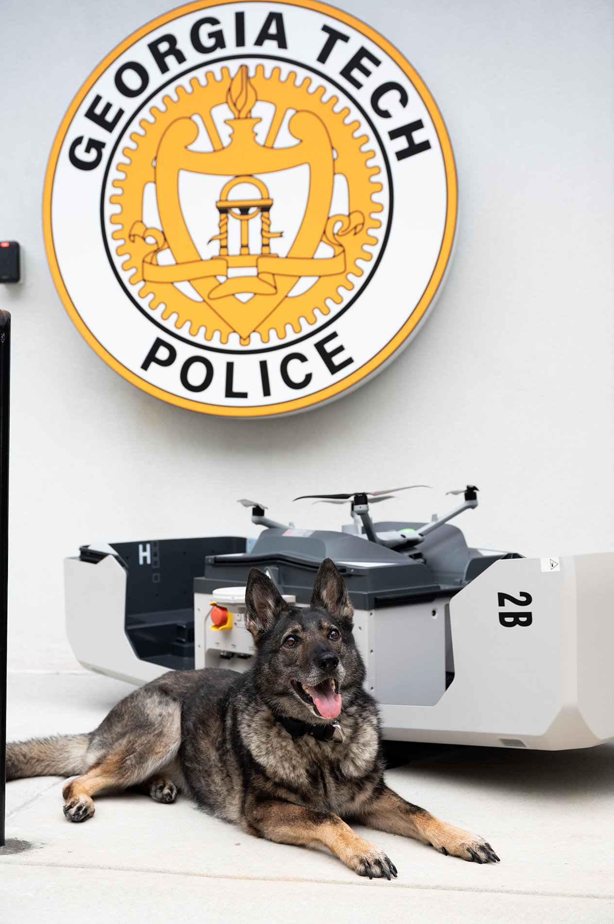 police dog. photo by Joya Chapman.