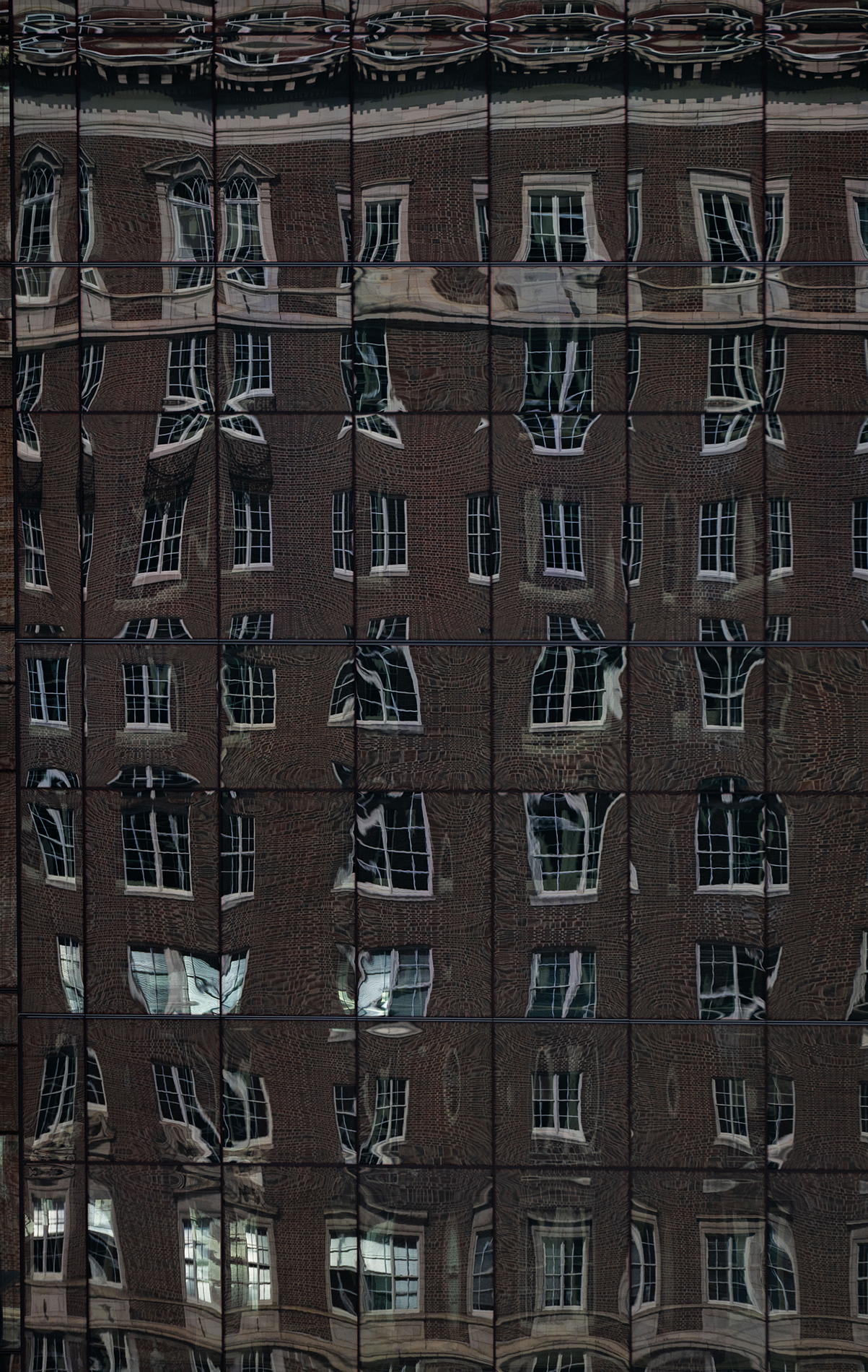 Shadows on the Biltmore. Photo by Allison Carter.