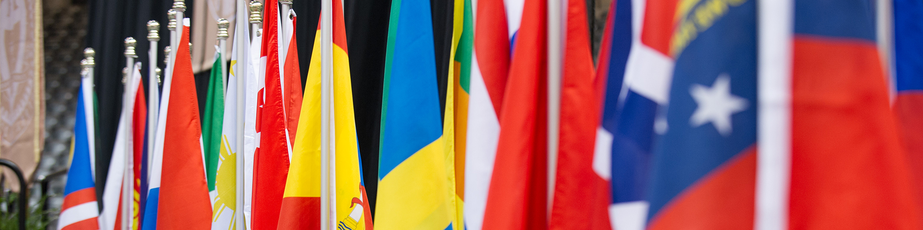 30 Years of International Education