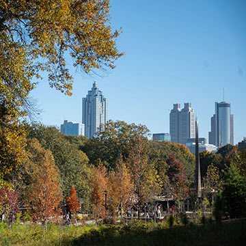 Atlanta skyline with fall foliage in foreground