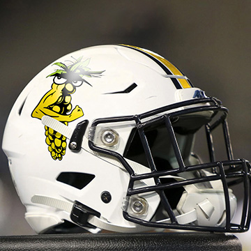 Institute adds third mascot — Georgia Tech Fightin' Pollen | News