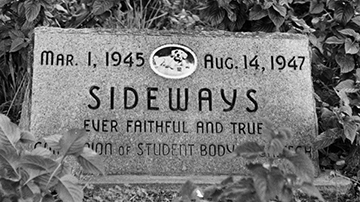 sideways' gravestone