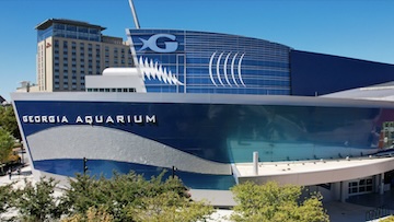 Georgia Aquarium 