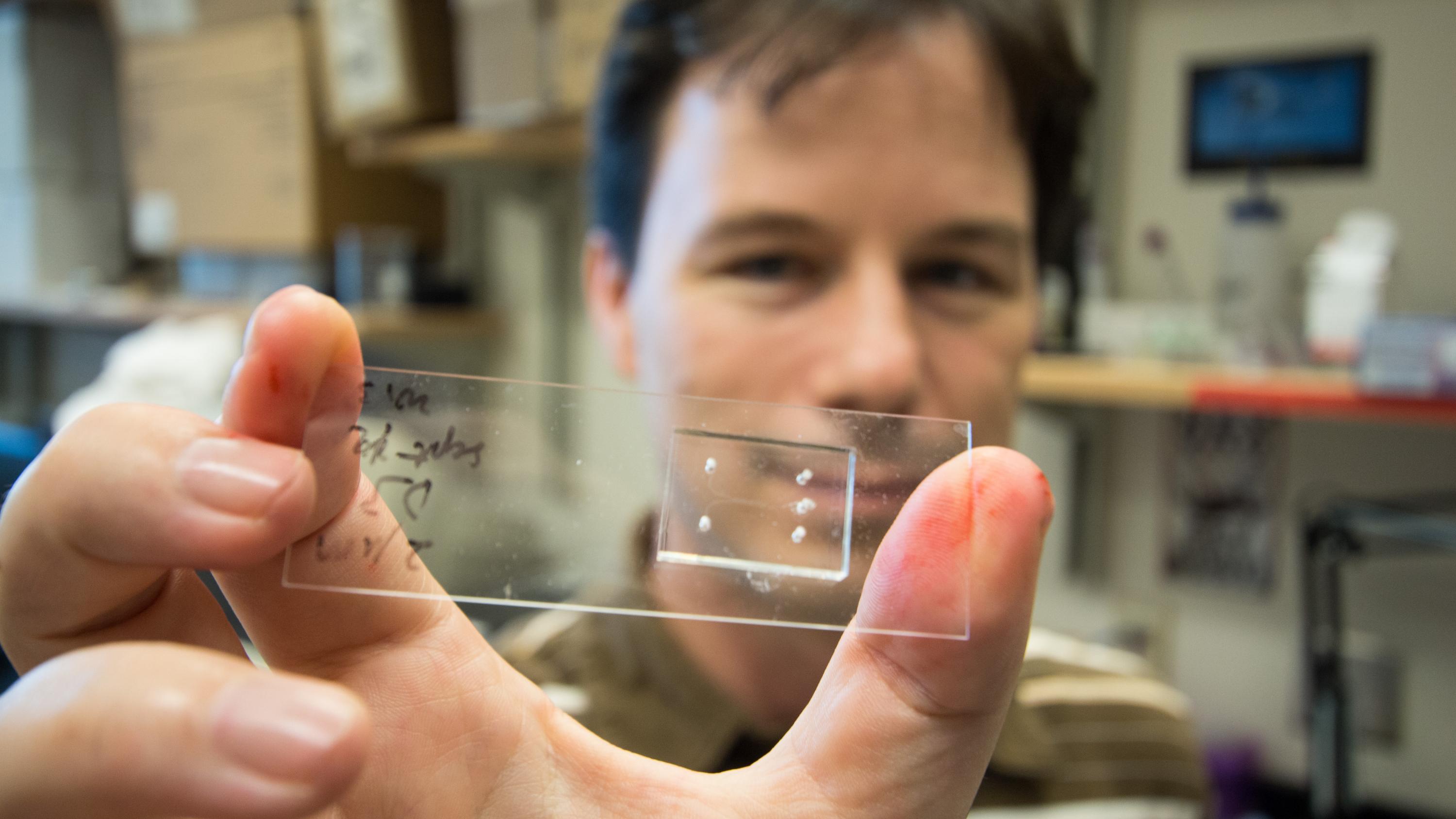 Todd Sulchek is an associate professor of mechanical engineering in Georgia Tech’s George W. Woodruff School of Mechanical Engineering. He's holding a microfluidic chip designed to sort cells based on their softness. (Credit: Maxwell Guberman, Georgia Tech)