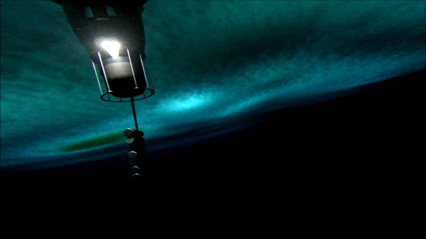 The view under the Ross Ice Shelf, where water meets sea ice, captured by a GoPro camera attached to Icefin. Also visible is a weight that is deployed from Icefin to shift its center of gravity so the vehicle moves from a vertical position to horizontal. Credit: Mick West.