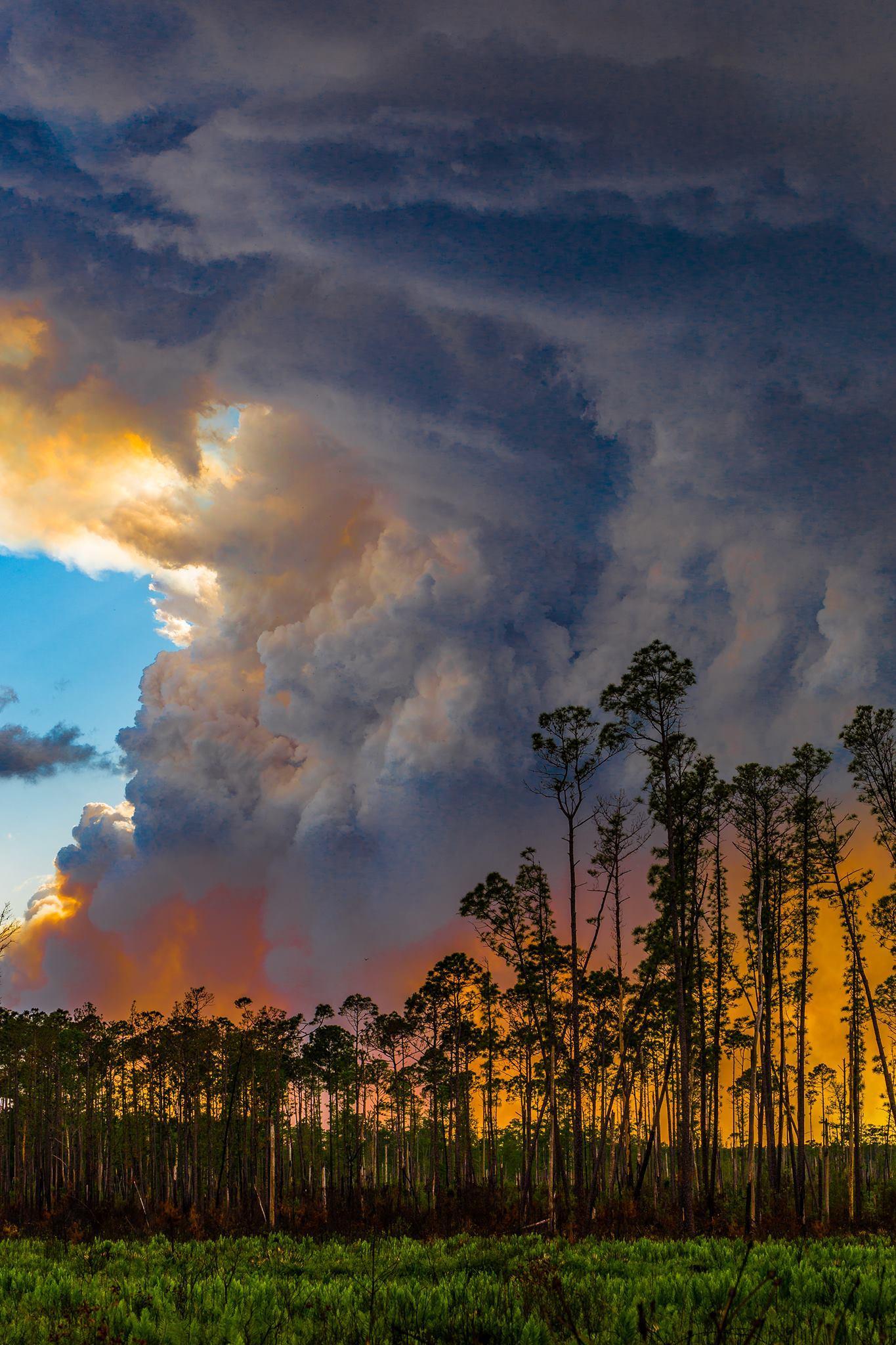 Smoke rises from the wildfire burning across 150,000 acres of the Okefenokee Swamp in Georgia and Florida. (Credit: Jim Pixley/USFWS)