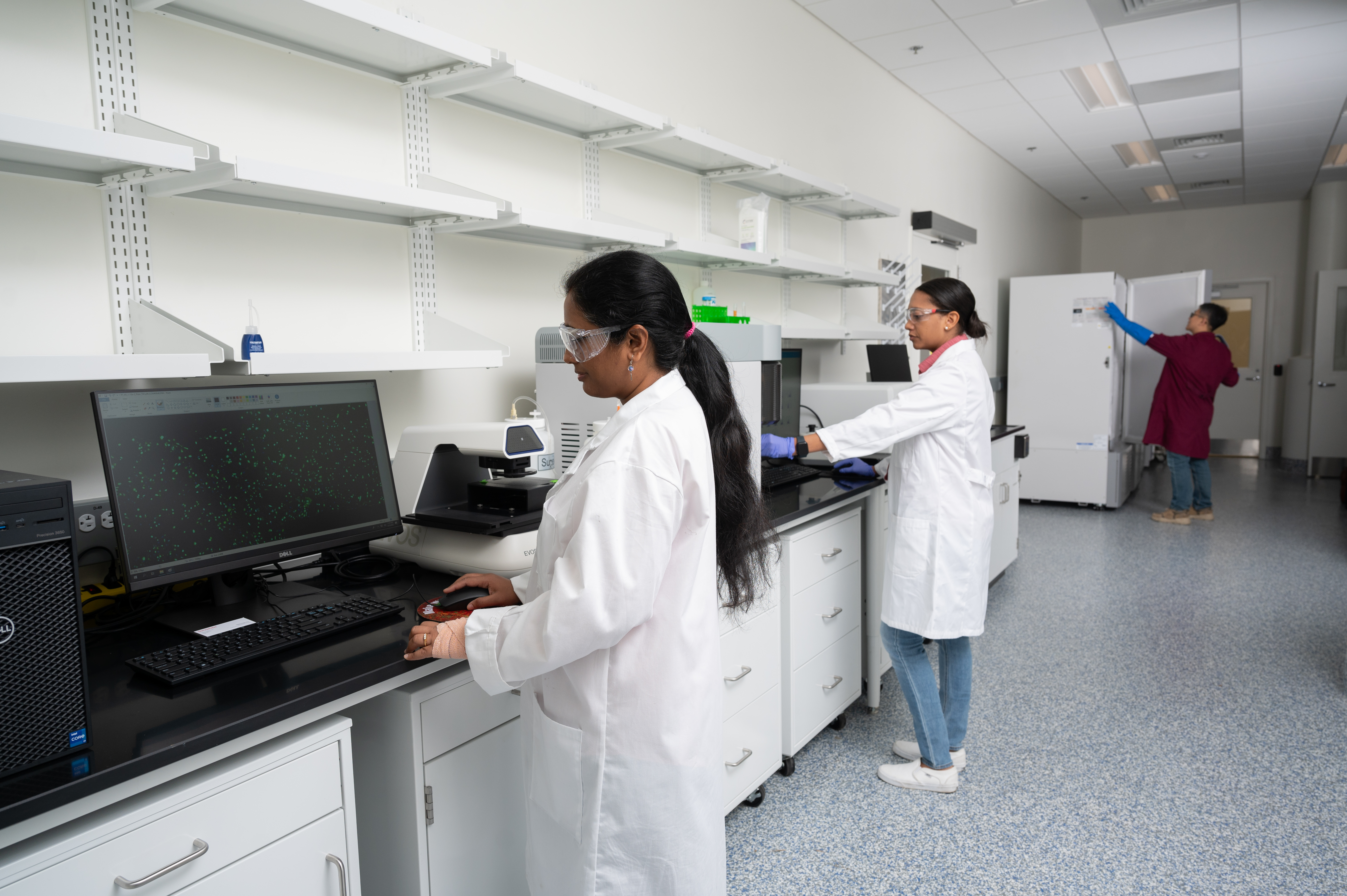 BioSpark Labs' members access shared equipment at no additional cost per usage. Featured equipment in this photo include EVOS M7000 fluorescent imaging system, Cytek Northern Lights 24-color spectral flow cytometry system, BioTek Synergy H1 microplate reader, and TSX -80C freezers.&nbsp;
