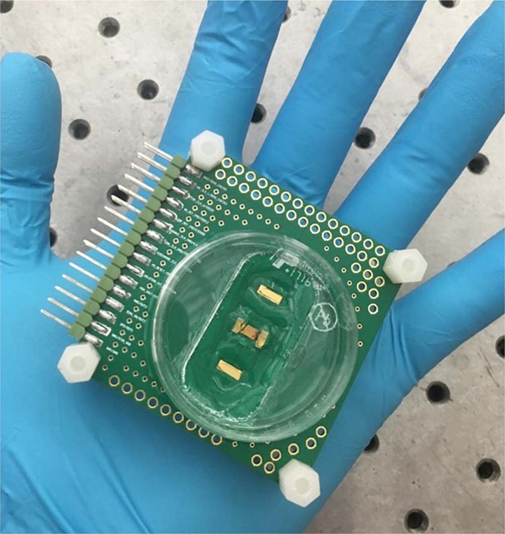 Built on standard complementary metal oxide semiconductor (CMOS) technologies, the cellular sensing array chip uses a standard 35 mm cell culture dish with the bottom removed to host the cells and expose them to the sensing surface.