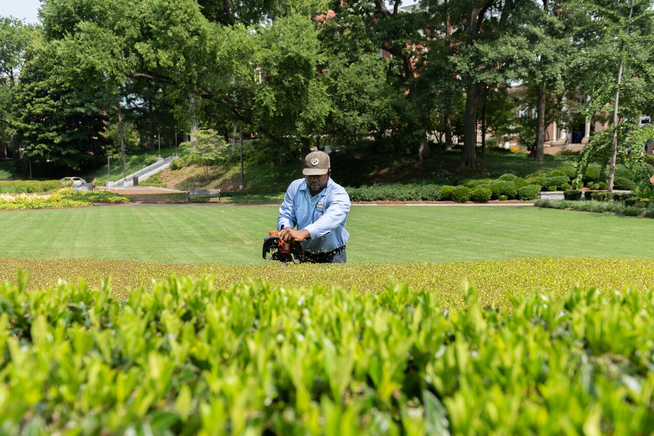 Groundskeeper Donald Jordan trims hedges at Tech Lawn.