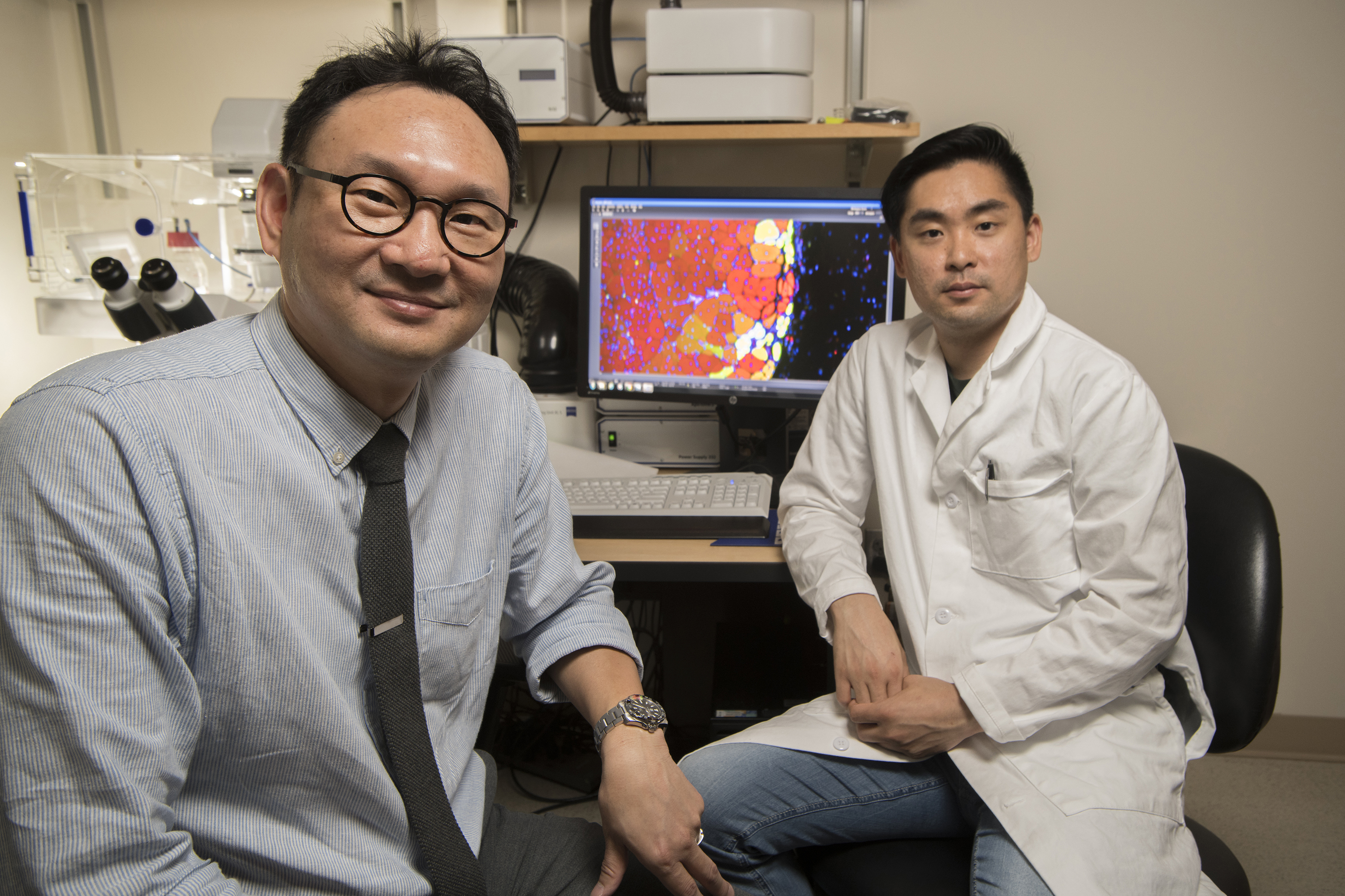 Principal investigator Young Jang, left, with first author Woojin Han in Jang's lab at Georgia Tech. On screen, a muscle tissue sample showing the success of their experiment. Credit: Georgia Tech / Christopher Moore