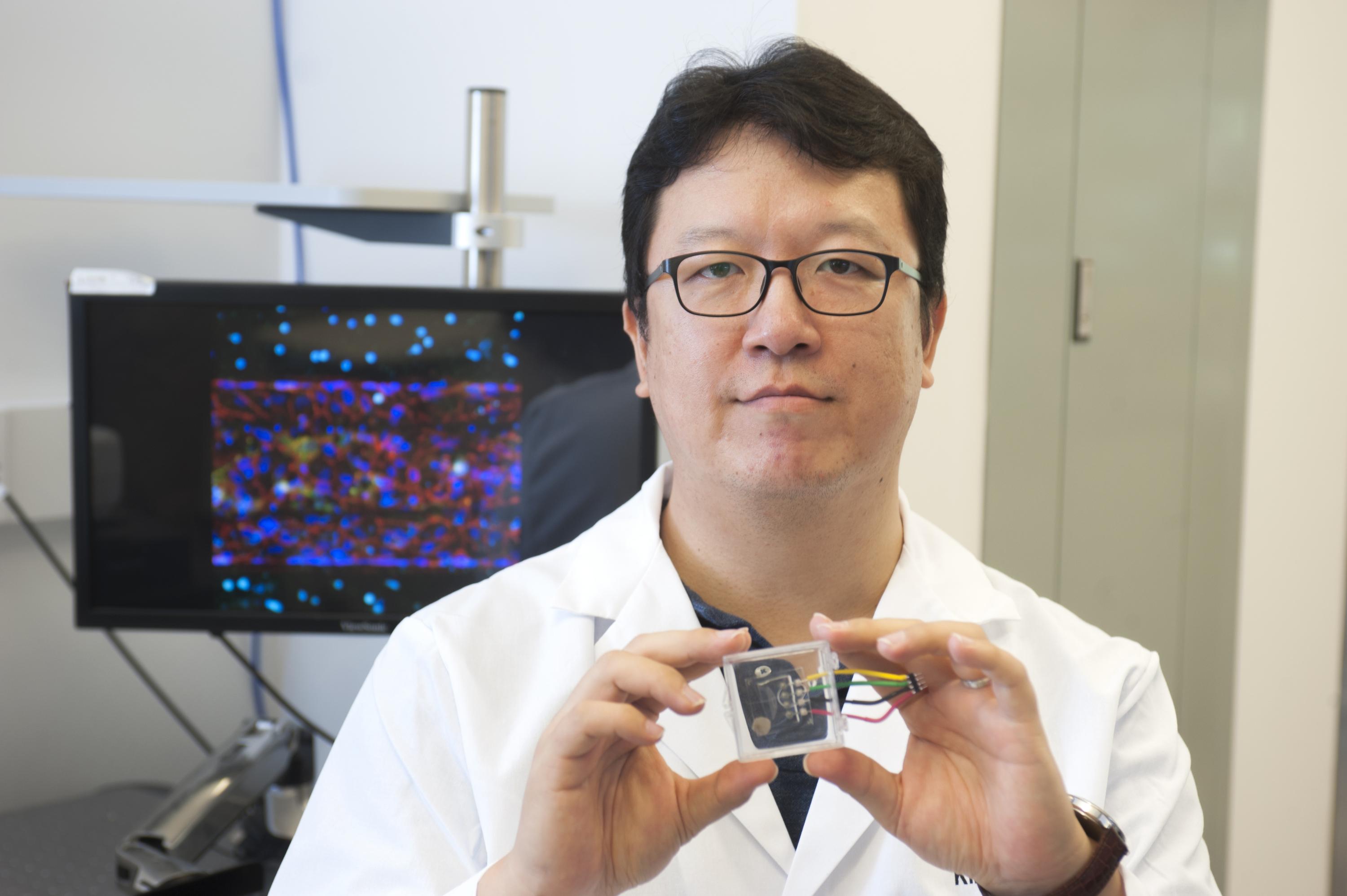 Georgia Tech biomedical engineering researcher YongTae "Tony" Kim led the development of the blood-brain-barrier on a chip. Here, be is holding up a microfluidic device that mimics a microvessel from other research. Kim is the recipient of the esteemed NIH Director's New Innovator Award for his proposal on high-throughput research to tackle new possible new treatments for atherosclerosis. Kim is also developing a human-coronary-artery-on-a-chip. Credit: Georgia Tech / Christopher Moore