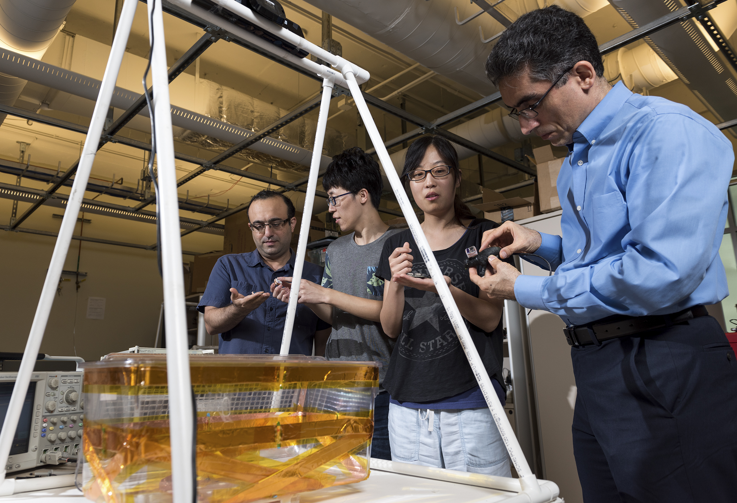 The EnerCage team in the lab. From left to right: S. Abdollah Mirbozorgi (post-doc), Zheyuan Wang (Ph.D. student), Yaoyao Jia (Ph.D. student) and Maysam Ghovanloo (associate professor)