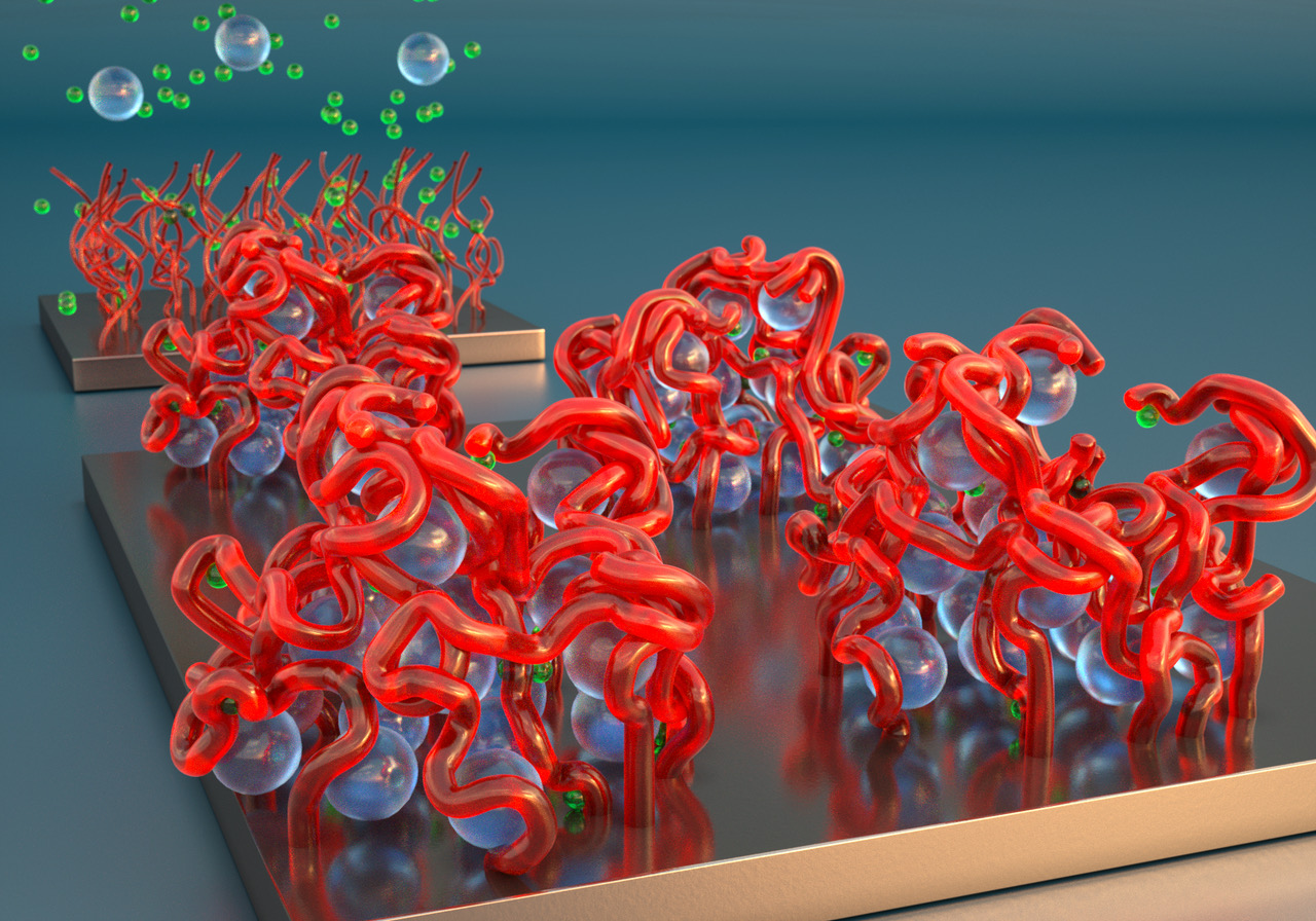 Polyelectrolyte brushes illustration: In the foreground, powerful ions in solution, shown as spheres, cause the brush's bristles to collapse like sticky spaghetti. In the background, gentler ions in solution cause the bristles to stand back straight. Credit: Peter Allen University of California Santa Barbara for this study