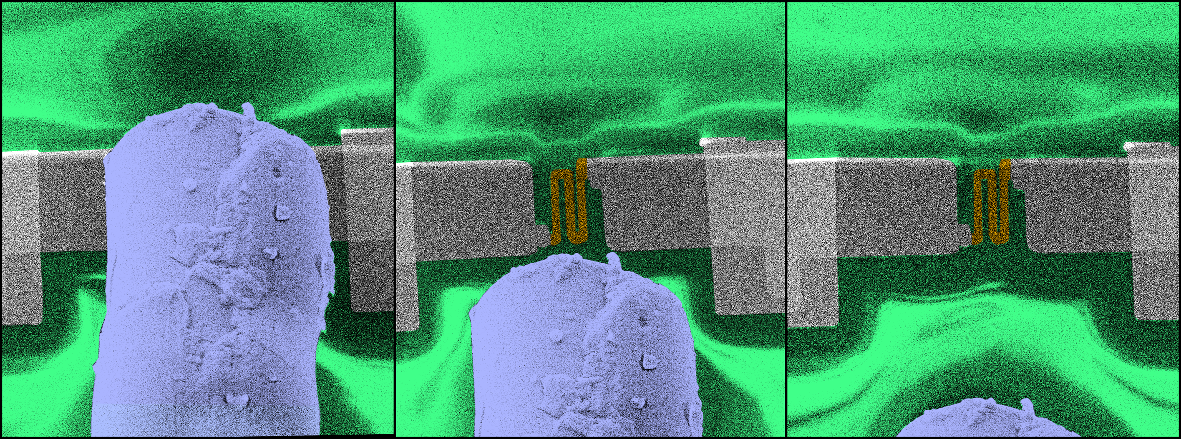 Colorized scanning electron microscope image shows the position of a resistive thermal device RTD (nanoscale thermometer) as the deposition substrate moves relative to the micro-size nozzle capillary for gas jet injection for mapping local temperature. The RTD thermal response was used for validation of the model prediction of the adatom non-equilibrium thermal state. (Credit: Matthew R. Henry)