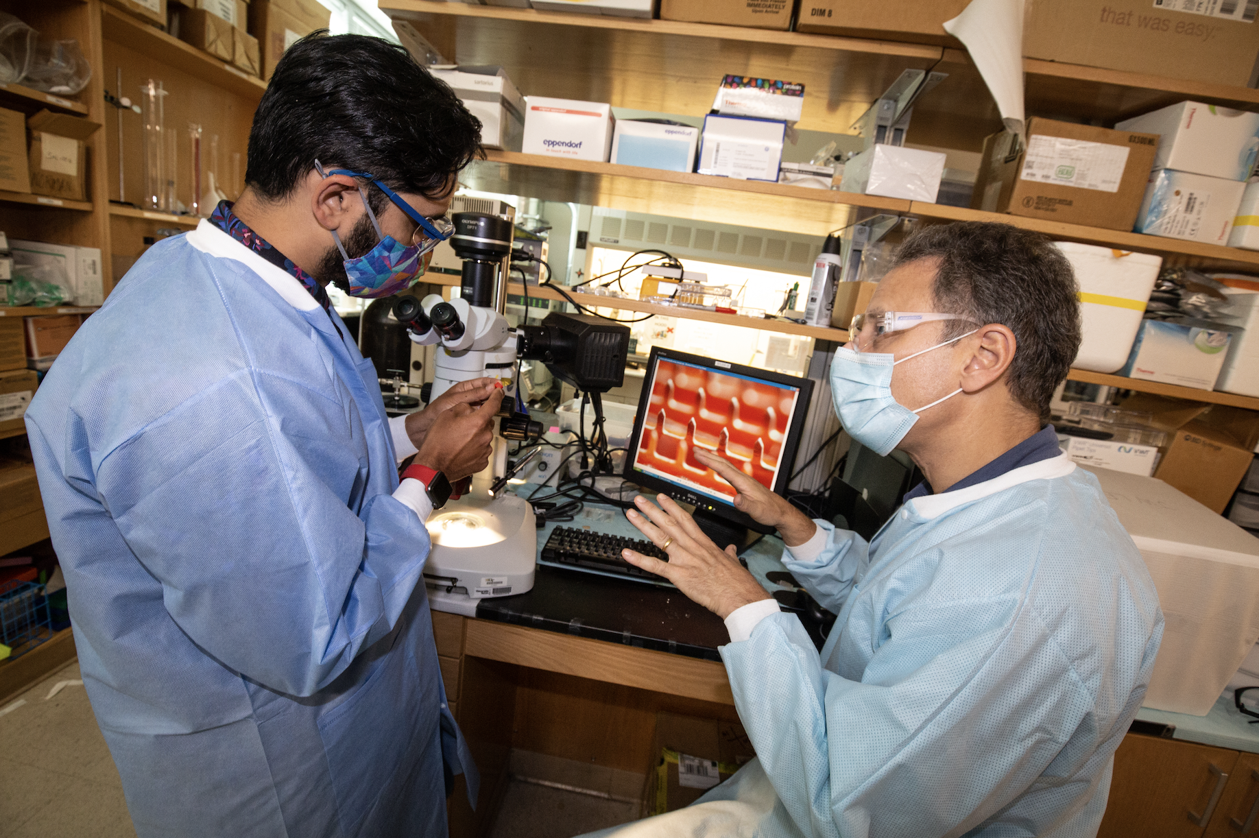 Georgia Tech researchers Saad Bhamla (left) and Mark Prausnitz (right) study the ePatch in the laboratory. (Photo credit: Candler Hobbs, Georgia Tech)
