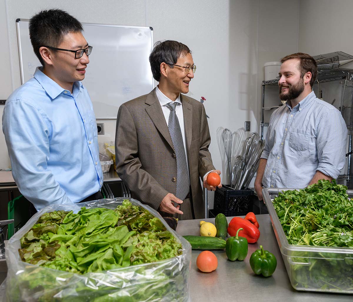 Post-doctoral fellow Bopeng Zhang, Professor Yongsheng Chen and graduate research assistant Thomas Igou from the School of Civil and Environmental Engineering will pilot a project to use wastewater nutrients to grow lettuce, tomatoes and other fruits and vegetables. 

 
