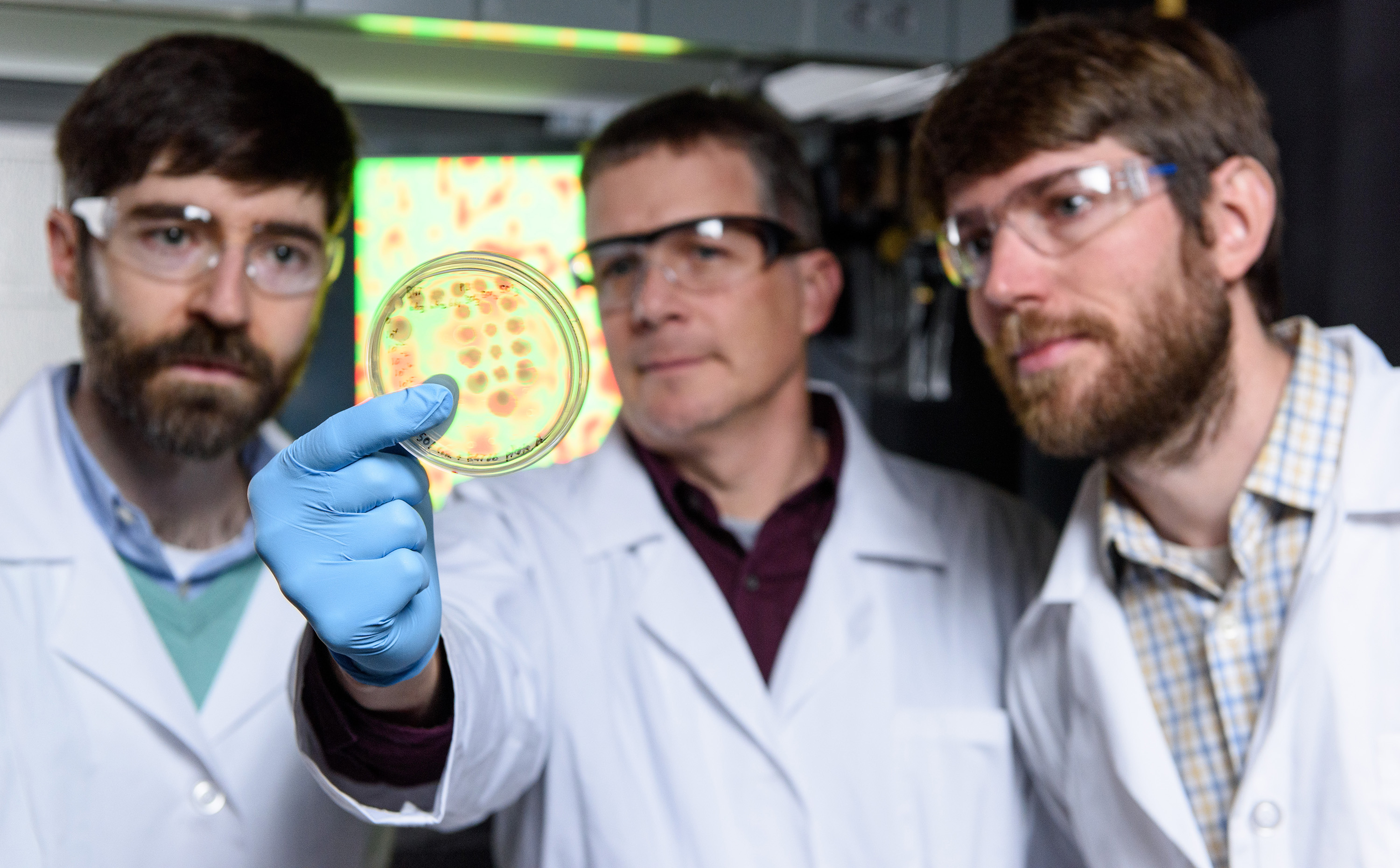 Physicist Peter Yunker, microbiologist Brian Hammer, and evolutionary biologist Will Ratcliff (left to right) in Yunker's lab at Georgia Tech with cultures of Vibrio cholerae and a monitor screen displaying bacteria that have phase separated into divided colonies. Credit: Georgia Tech / Rob Felt